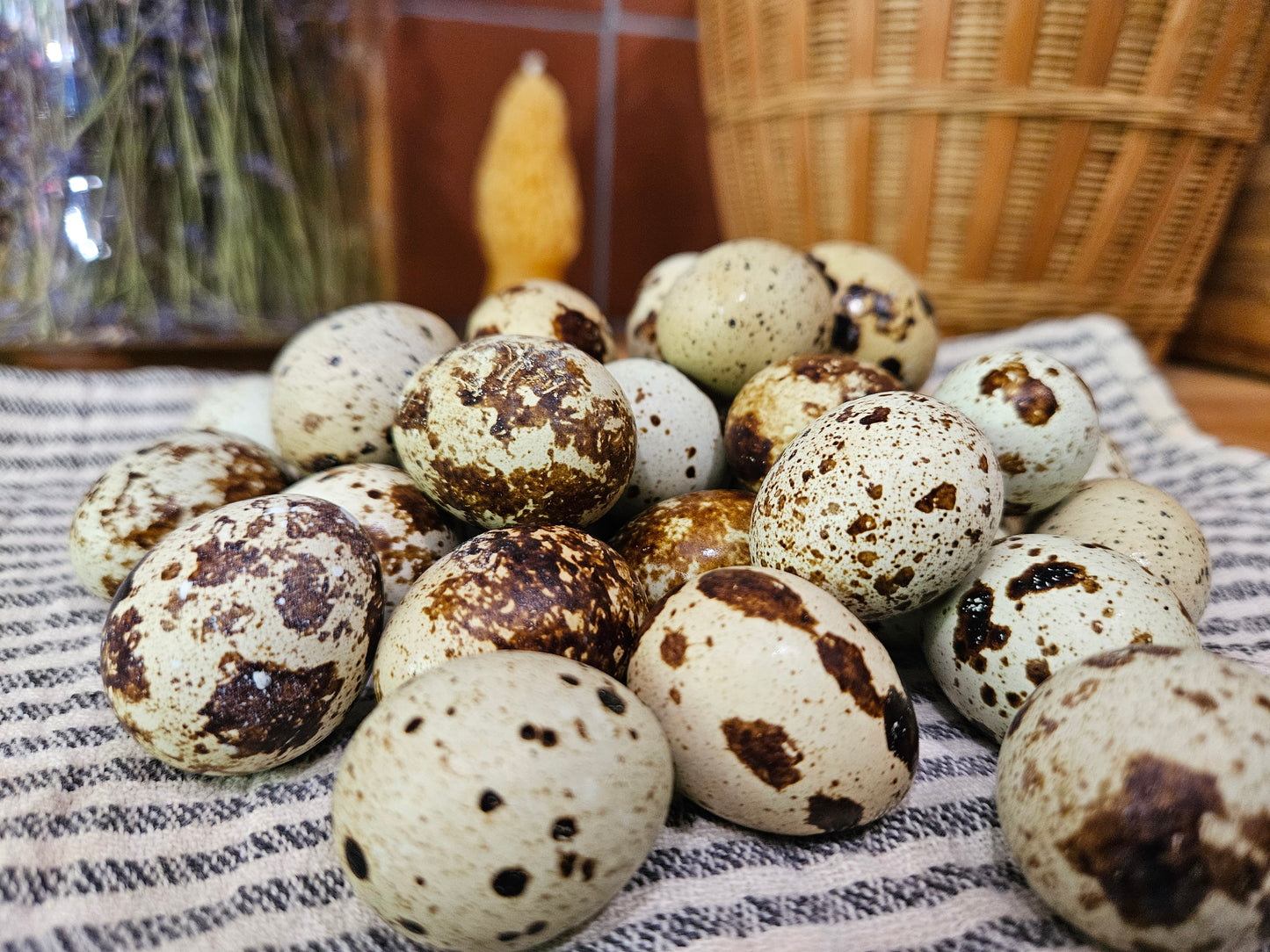 24 Fresh Quail Eggs – Corn & Soy Free | Local Pickup in Cottage Grove