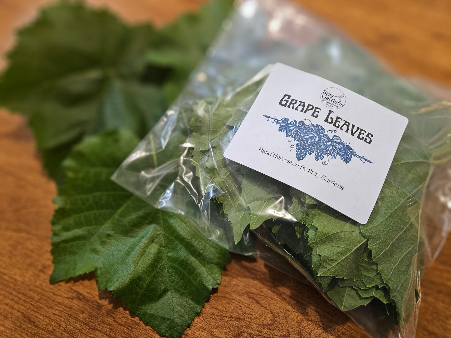 Fresh Grape Leaves | Perfect for Dolmas, Pickling & Culinary Wraps | Handpicked & Unsprayed | Sold Individually