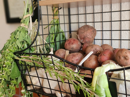 The In-Between Season: Harvesting Heat, Preparing for Garlic