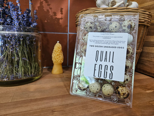 24 Fresh Quail Eggs – Corn & Soy Free | Local Pickup in Cottage Grove