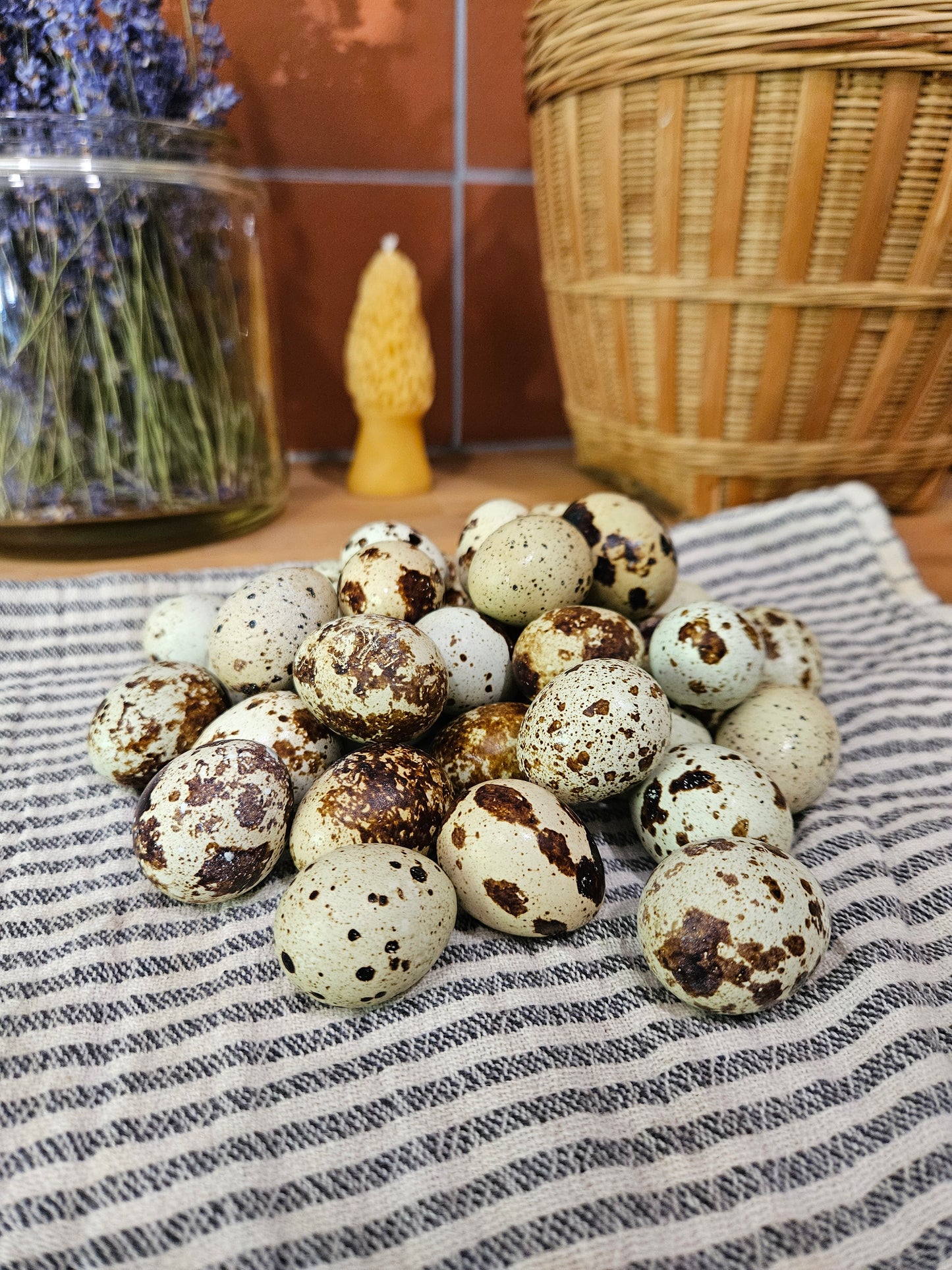 24 Fresh Quail Eggs – Corn & Soy Free | Local Pickup in Cottage Grove