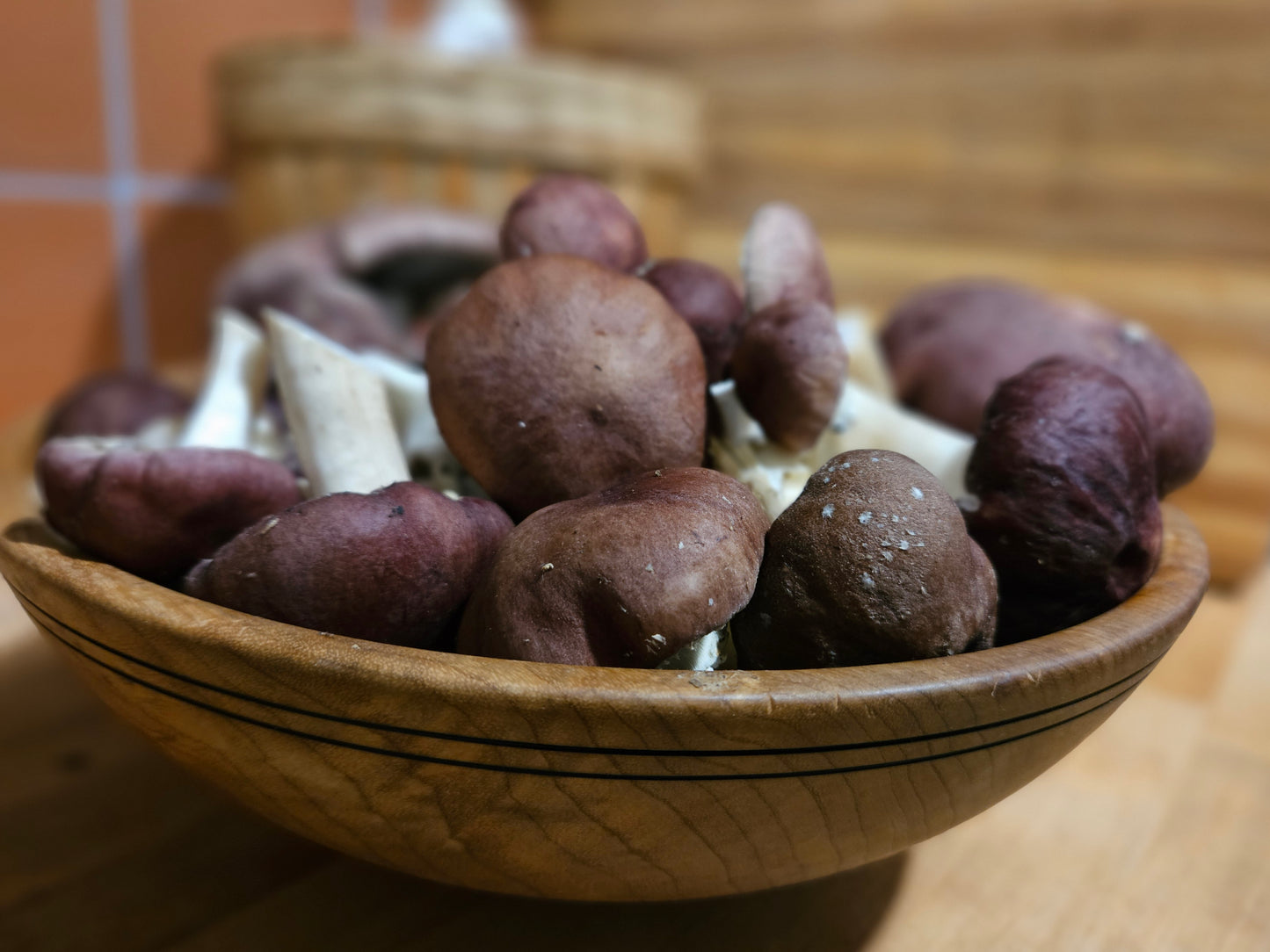 1 lb Fresh King Stropharia Mushrooms (Wine Caps / Garden Giants) – Local Pickup in Cottage Grove