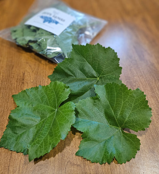 Fresh Grape Leaves | Perfect for Dolmas, Pickling & Culinary Wraps | Handpicked & Unsprayed | Sold Individually
