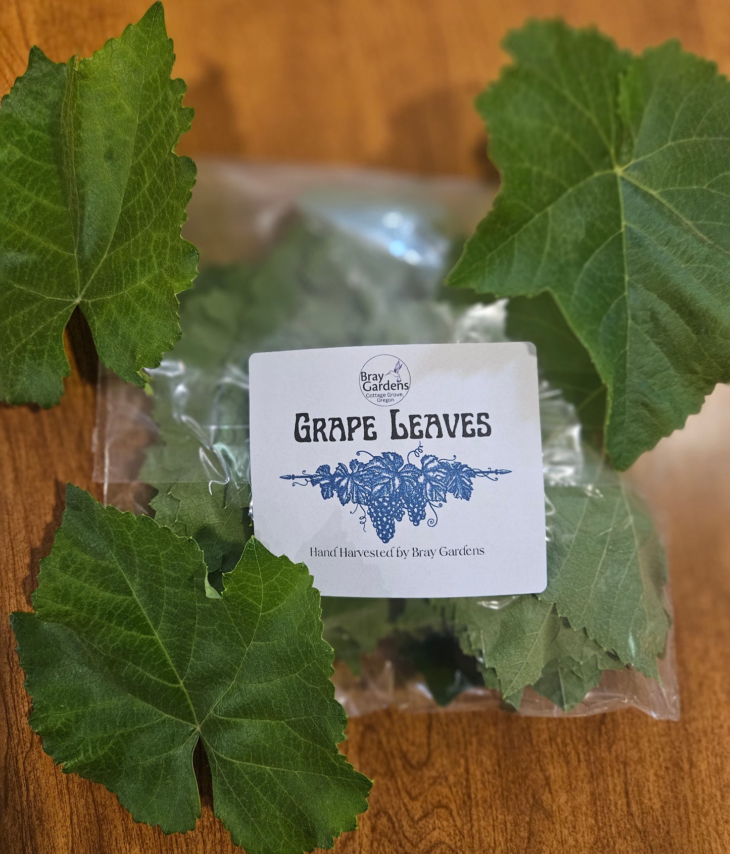 Fresh Grape Leaves | Perfect for Dolmas, Pickling & Culinary Wraps | Handpicked & Unsprayed | Sold Individually