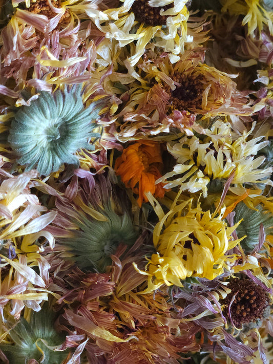 Organically Grown Calendula Flowers, Hand-Harvested 1 oz