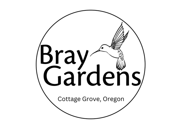 Bray Gardens