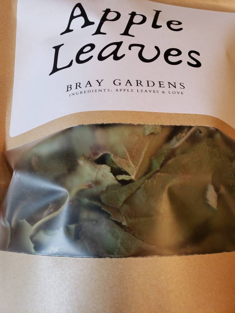 Air-Dried Apple Leaves | Herbal Tea, Natural Crafts & Pet Treats | Handpicked & Unsprayed 1 oz