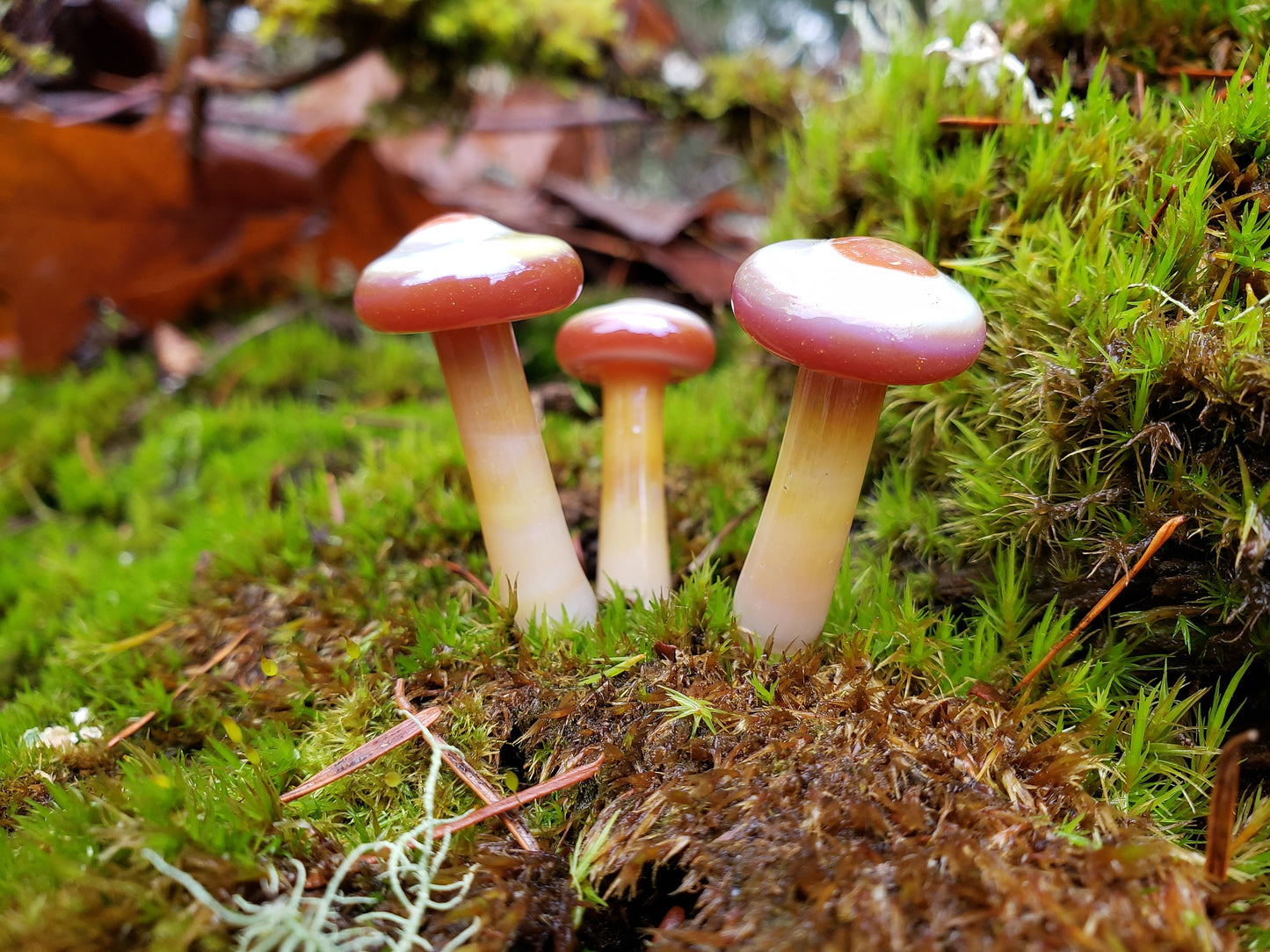 Handblown Glass Mushroom – Artisan Mini Mushroom for Terrariums, Fairy Gardens & Decor