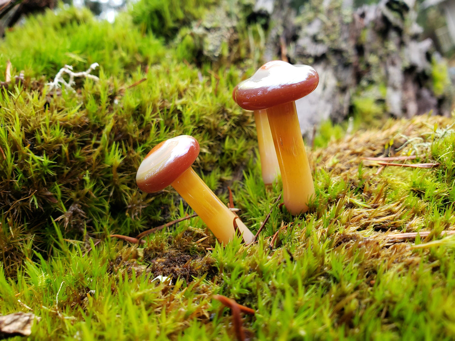 Handblown Glass Mushroom – Artisan Mini Mushroom for Terrariums, Fairy Gardens & Decor
