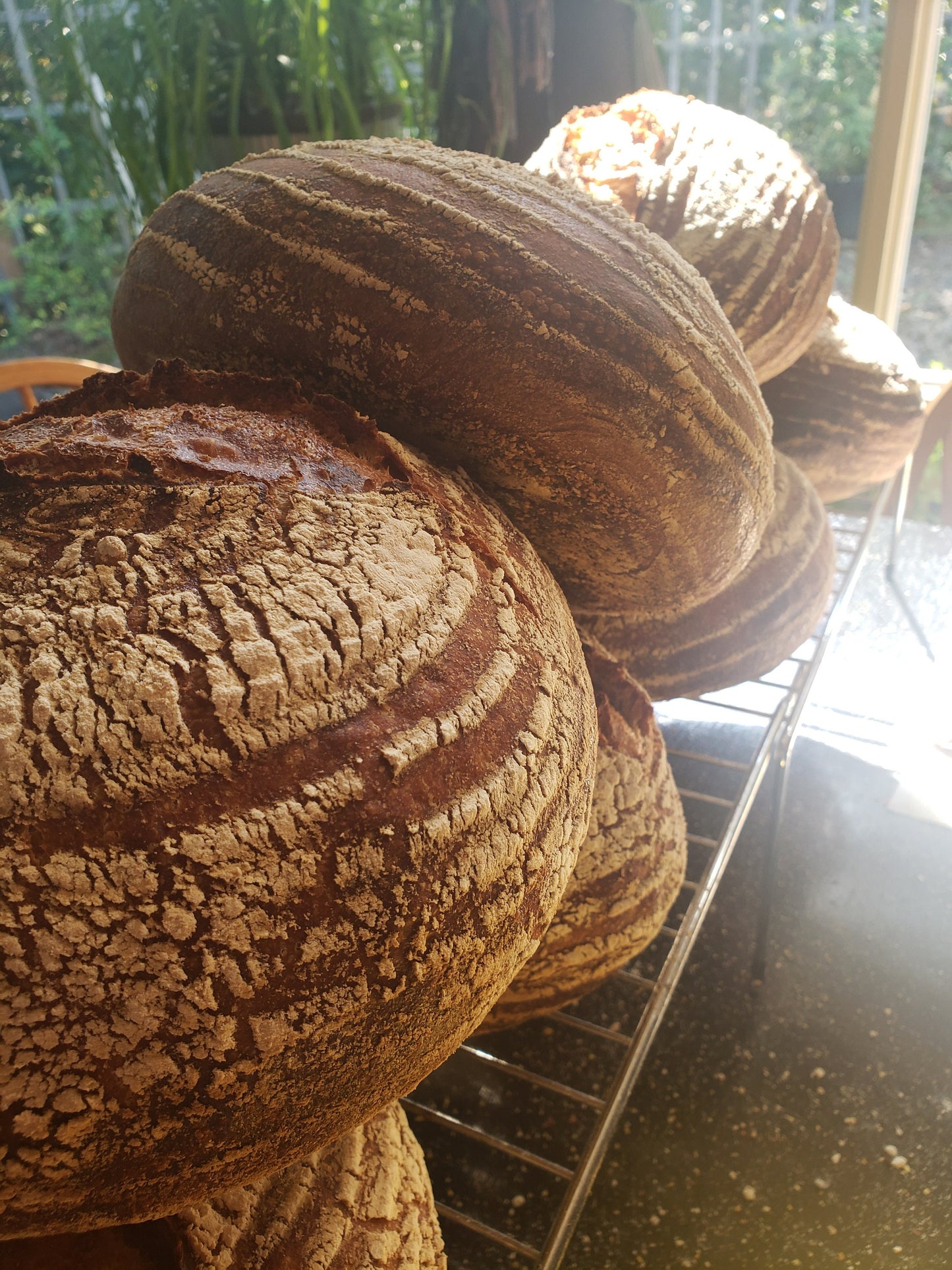 Organic Sourdough Starter (100g) – Active Bread Starter Culture in Mason Jar
