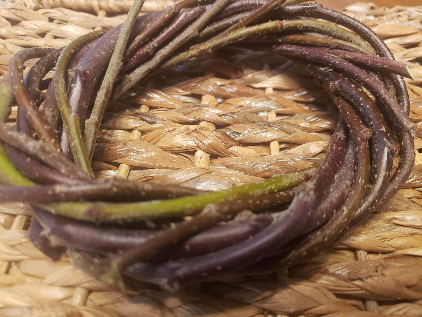 Organic Raw Apple Wreath Chews