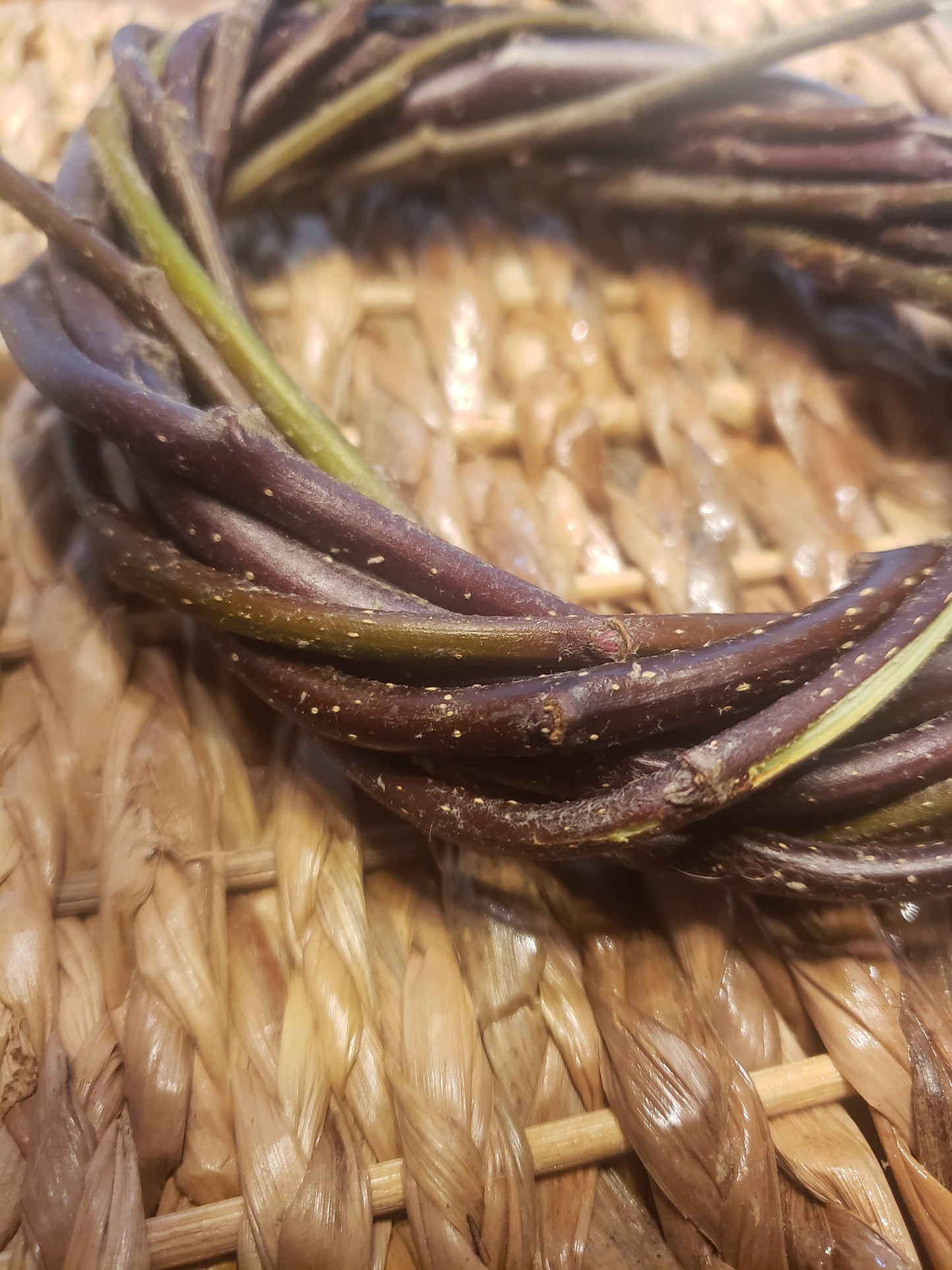 Organic Raw Apple Wreath Chews